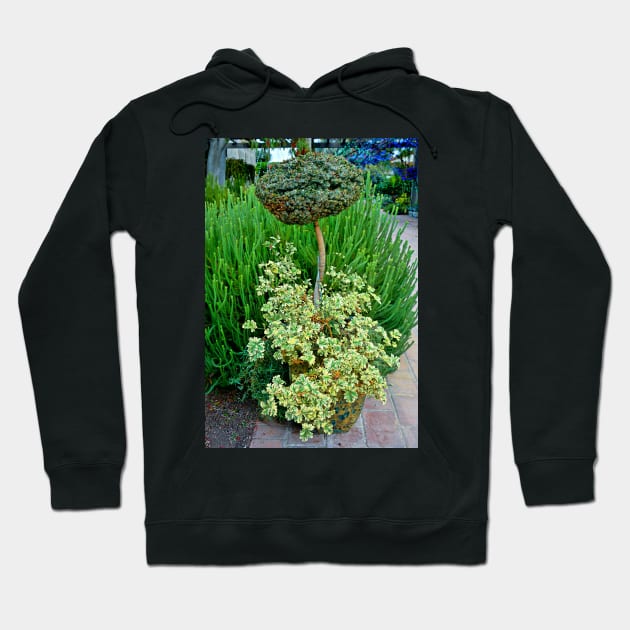 Sherman Gardens Study 10 Hoodie by bobmeyers